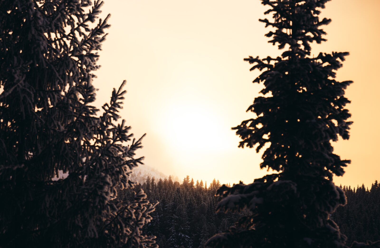 Вид на стадион